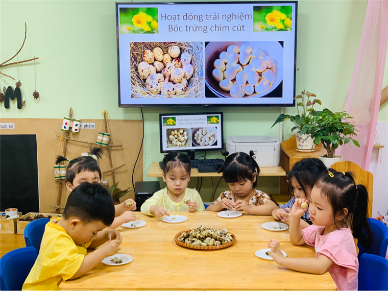 2024-11-12 15:57:33.052000