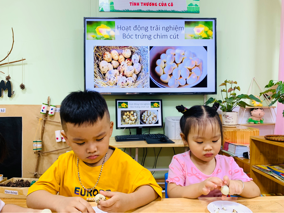 2024-11-12 15:58:52.221000