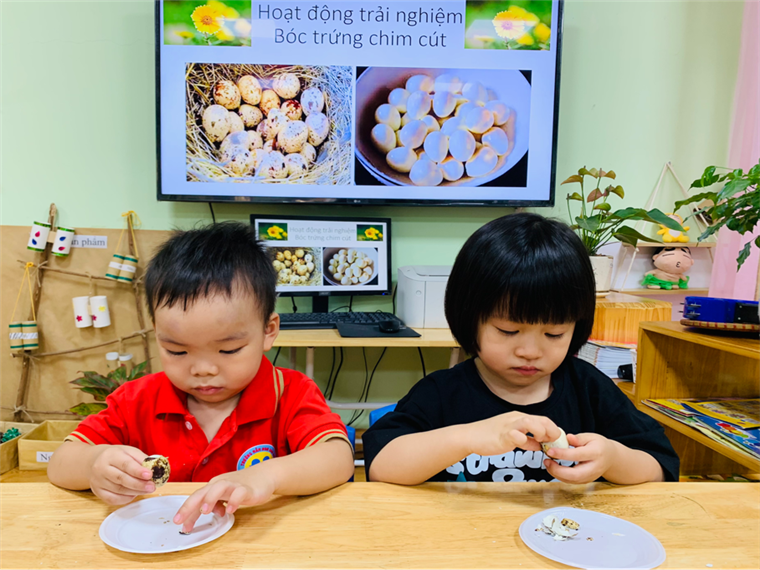 2024-11-12 15:58:54.502000