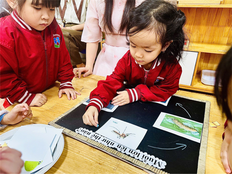 2024-11-27 19:39:54.927000