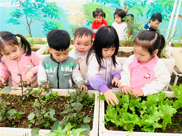 2024-12-26 15:36:20.286000