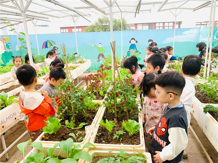 2024-12-26 15:36:20.857000