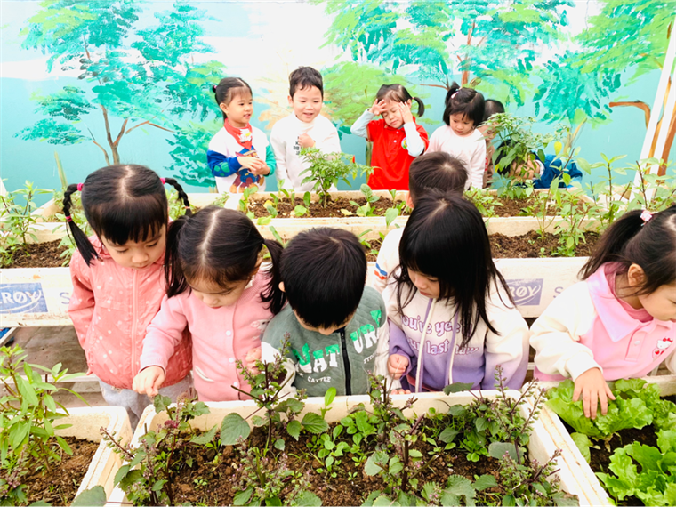 2024-12-26 15:37:53.340000