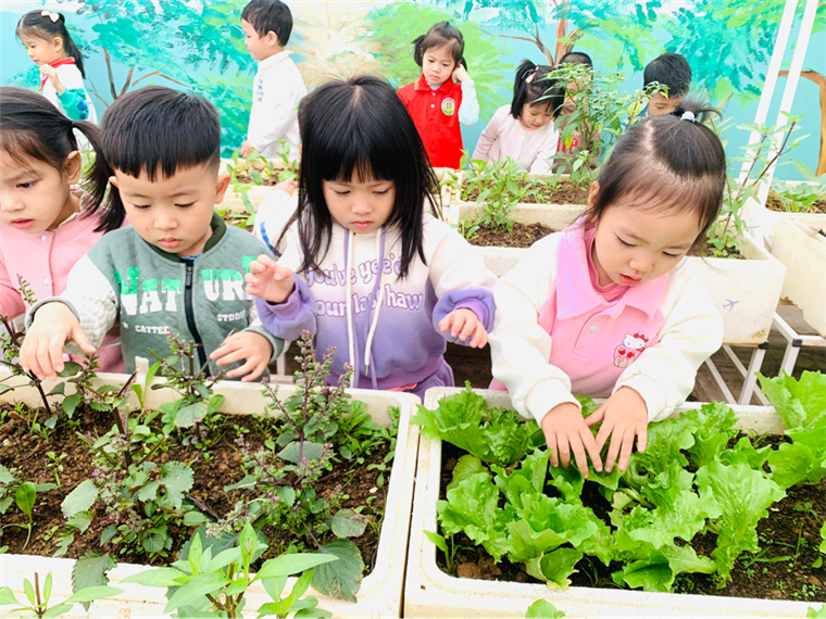 2024-12-26 15:37:53.872000