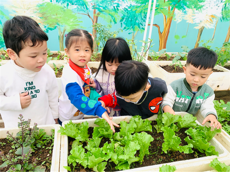 2024-12-26 15:39:51.377000