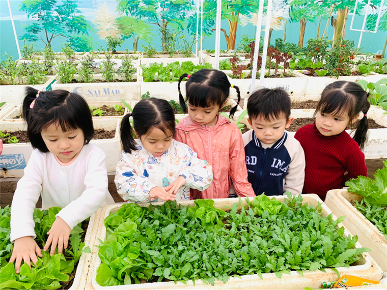 2024-12-26 15:39:53.413000