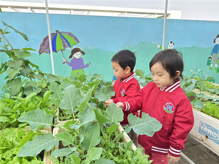 2024-12-26 15:40:23.640000