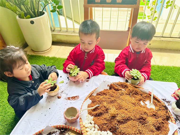 2025-01-07 19:33:29.795000