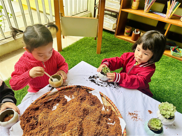 2025-01-07 19:33:30.485000