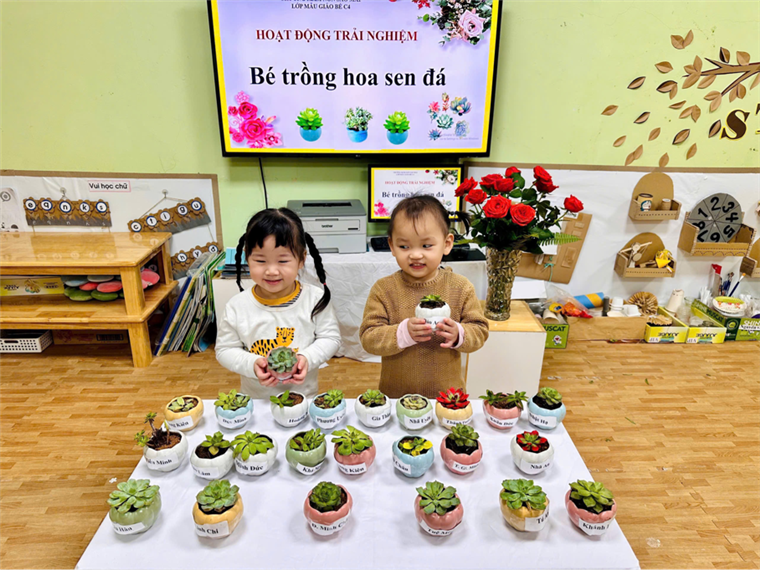 2025-01-07 19:33:33.062000