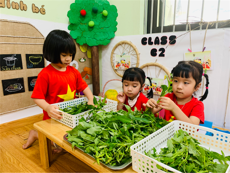 2025-05-14 12:10:48.274000