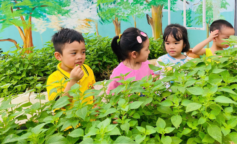 2025-06-06 09:42:35.346000