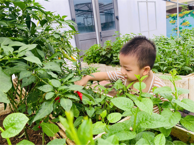 2025-06-06 09:42:35.811000