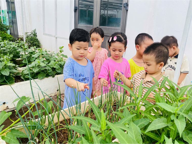 2025-06-06 09:42:36.363000