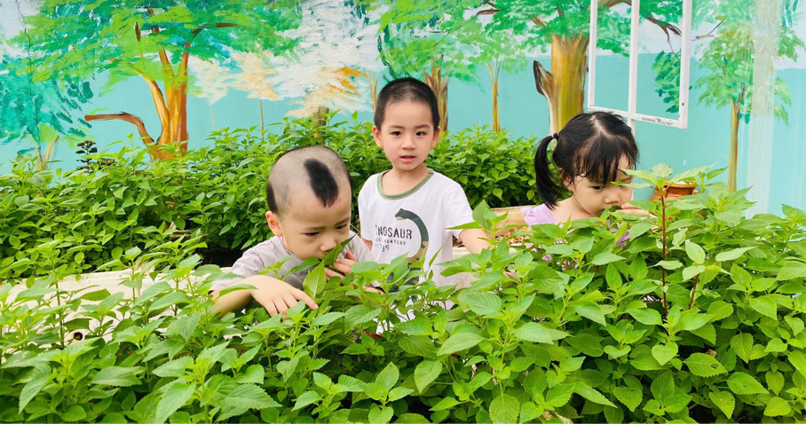 2025-06-06 09:43:29.458000