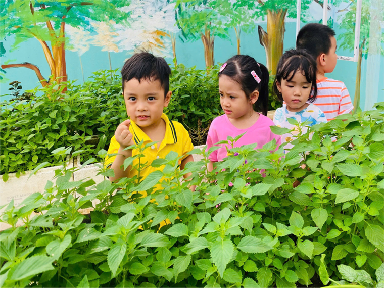 2025-06-06 09:39:26.615000