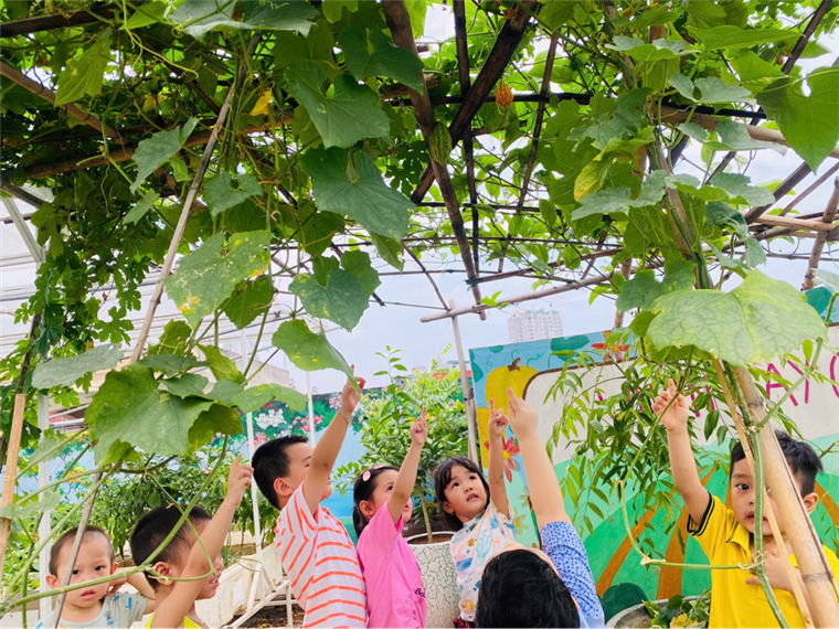 2025-06-06 09:42:33.257000