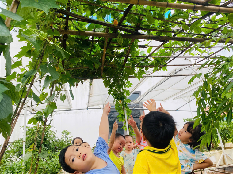 2025-06-06 09:42:34.839000