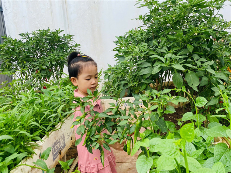 2025-06-06 09:43:30.365000