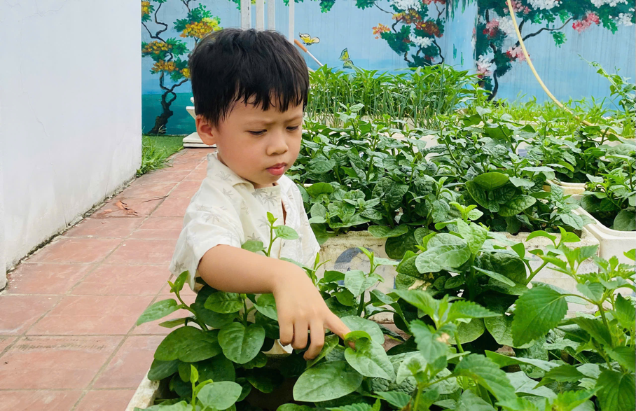 2025-06-06 09:44:38.265000