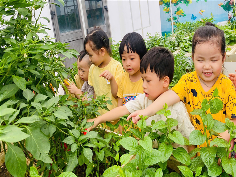 2025-06-06 09:44:39.048000